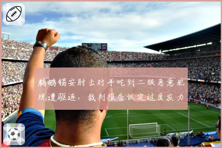 鹈鹕锡安肘击对手吃到二级恶意犯规遭驱逐，裁判报告认定过度发力但罚则存疑