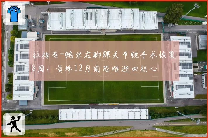 拉梅洛-鲍尔右脚踝关节镜手术恢复8周，黄蜂12月前恐难迎回核心