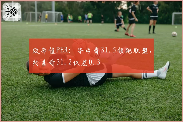 效率值PER：字母哥31.5领跑联盟，约基奇31.2仅差0.3